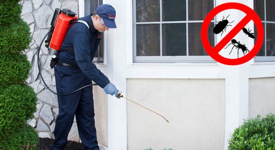 Boğazlıyan Bit İlaçlama böcek ilaçlama ve haşere kontrolü — ilaclama-tr.com